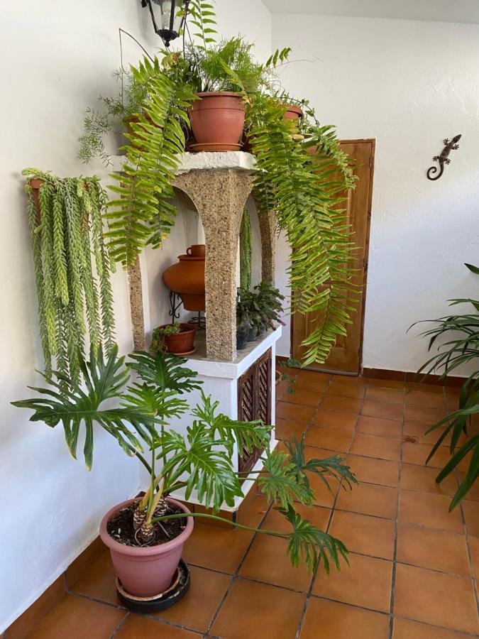 Casa en Mogán Vila Las Burrillas Exterior foto